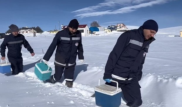 ارداهان’ده كارلي يولارده اشيلامالار سورويور
