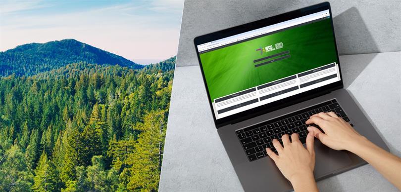 اورمان يانكيني ياپاي زكه سيستمين، اولوسلاراراسي ودول