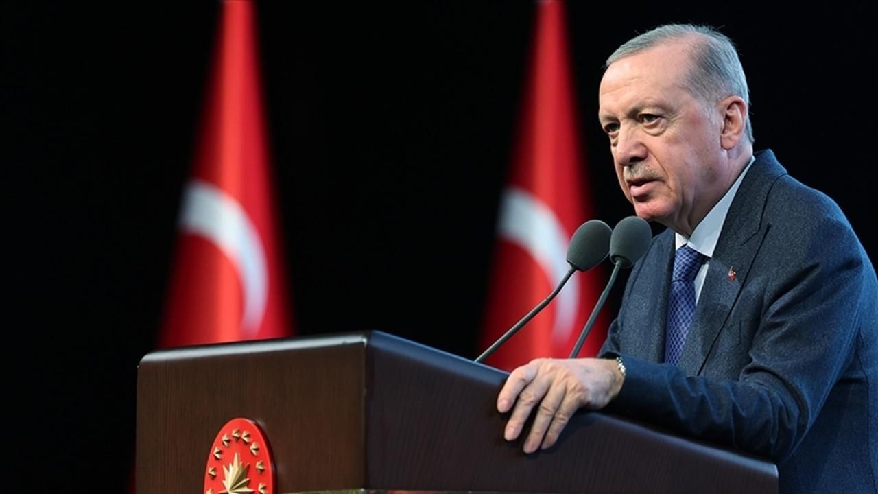 جمهورباشقاني أردوغان، دم پارتي هايتيني كابول ايدە جك
