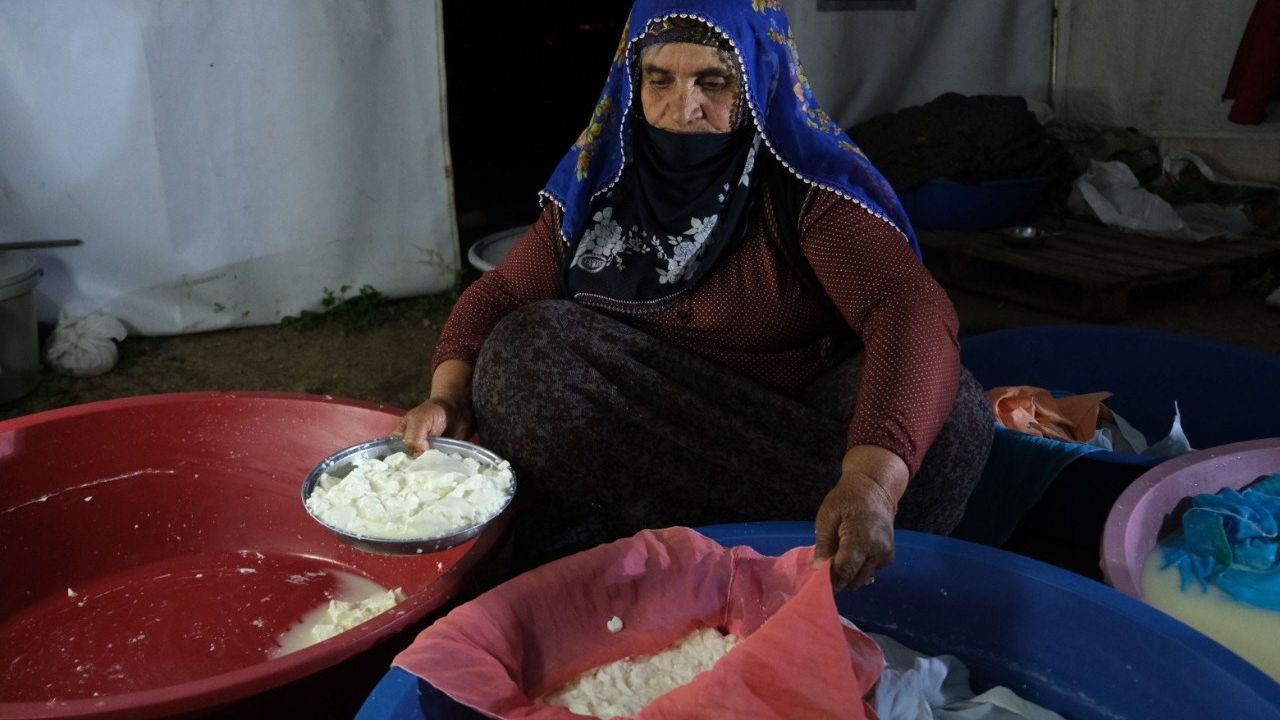 يايلالاردان كلن لززت: تولوم پاينيري