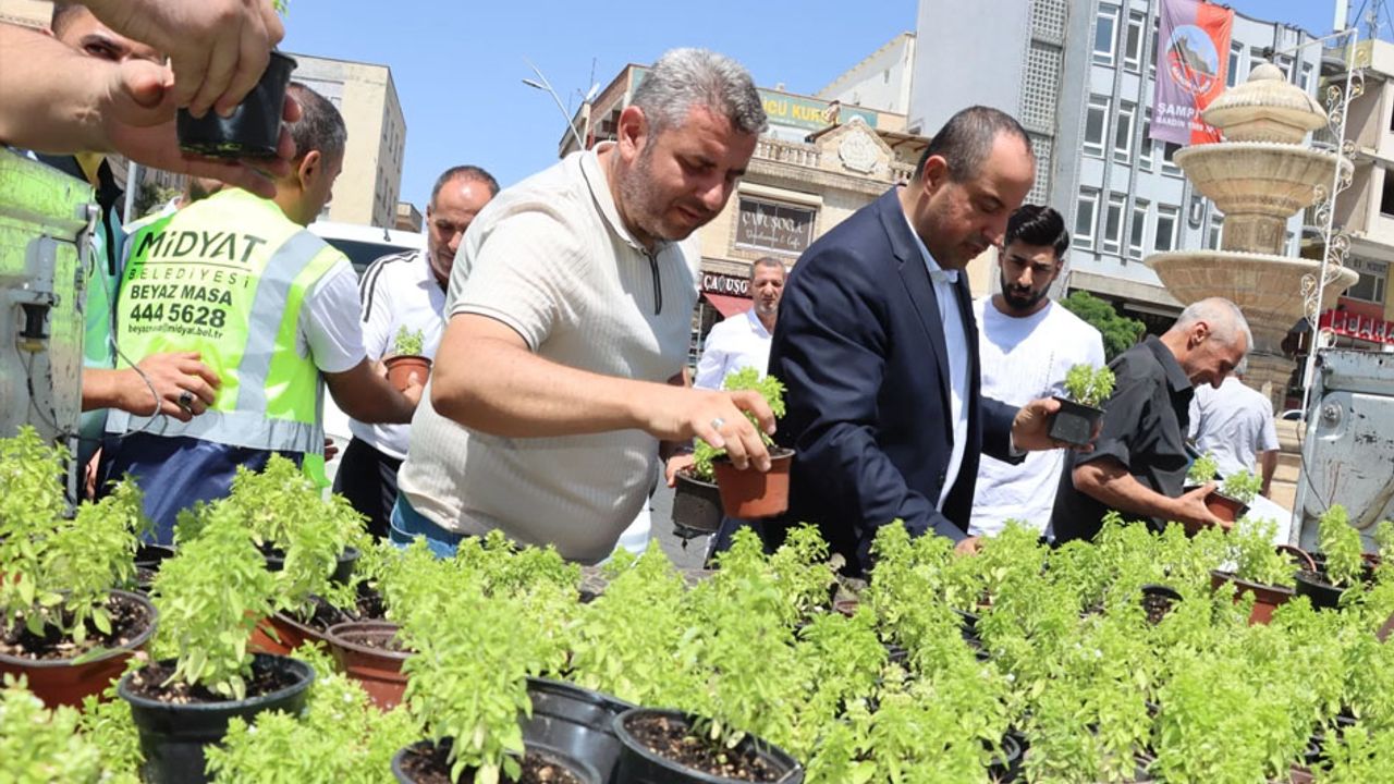ماردين ميديات’ته فسلگن و رايهان داگيتيلدي