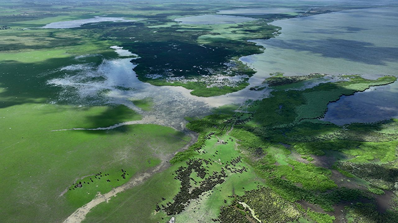 كيزيليرماك دلتاسي كوش نتي’نه يشيلين ڭ كوزل تونلاري هاكيم