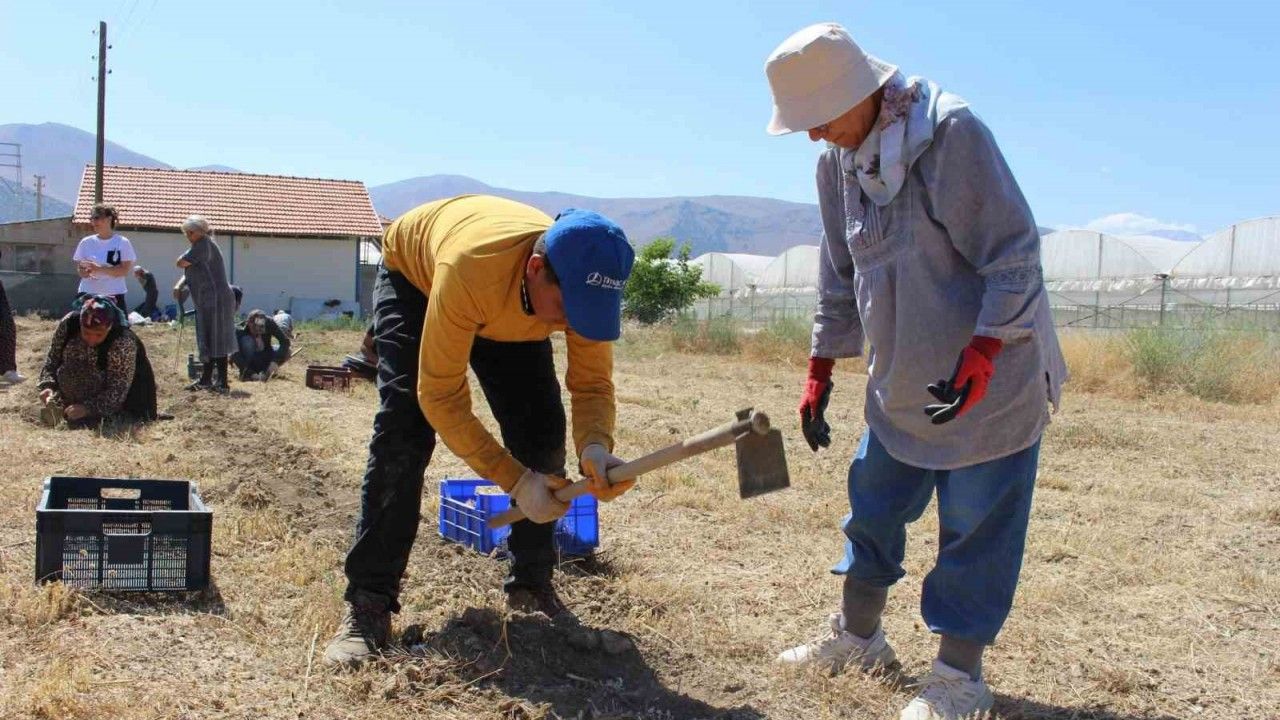 ايلمالي’ده سافران سوگاني هاسادي باشلادي