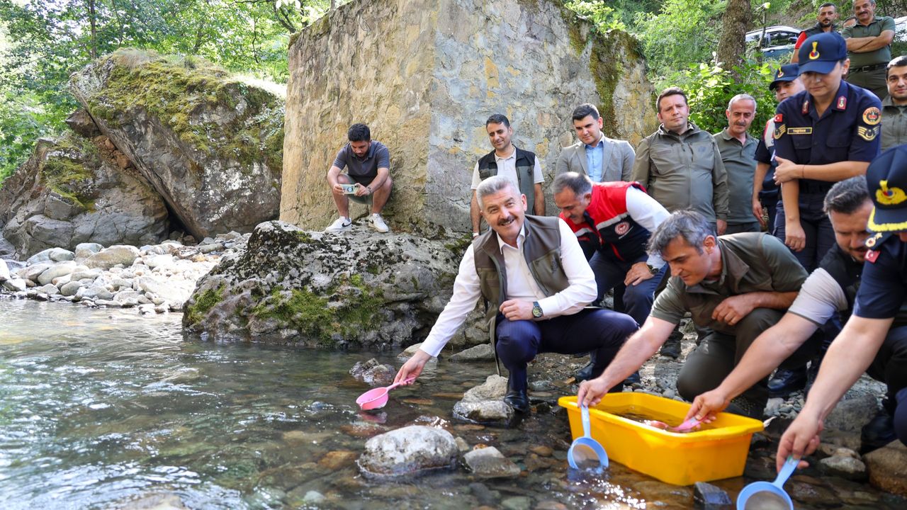 ارتوين’ده هاتيله واديسي ميلي پاركي’نداكي درايه ٥ بين الابالق ياوروسی بيراكيلدي