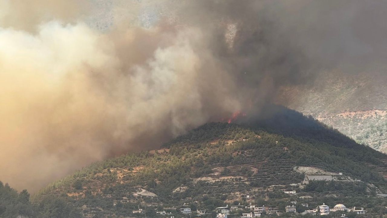 هاتاي’ده اورمان يانكيني