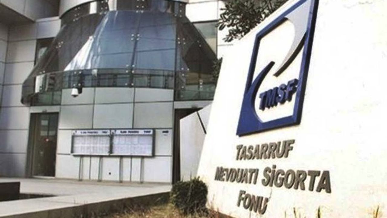 تمسف، هاكمار، هاكمار ايكسپرسس و تاتباك شيركتلرينه كاييوم اولاراك اتاندي