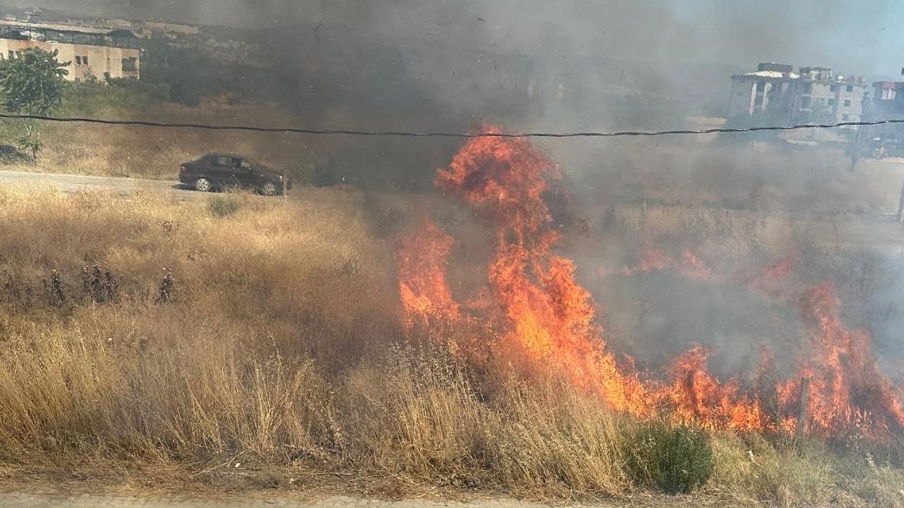 مانيسا’ده تميزلنماين كوری اوتلار يانكينه ندن اولدی