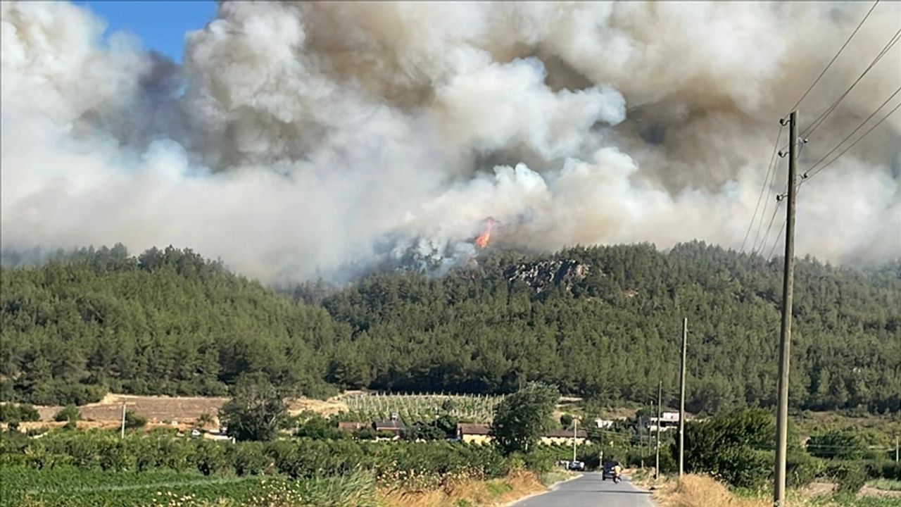 ساكاريا’ده اورمانلق الانده چيكان يانكينه موداهاله ايديلييور