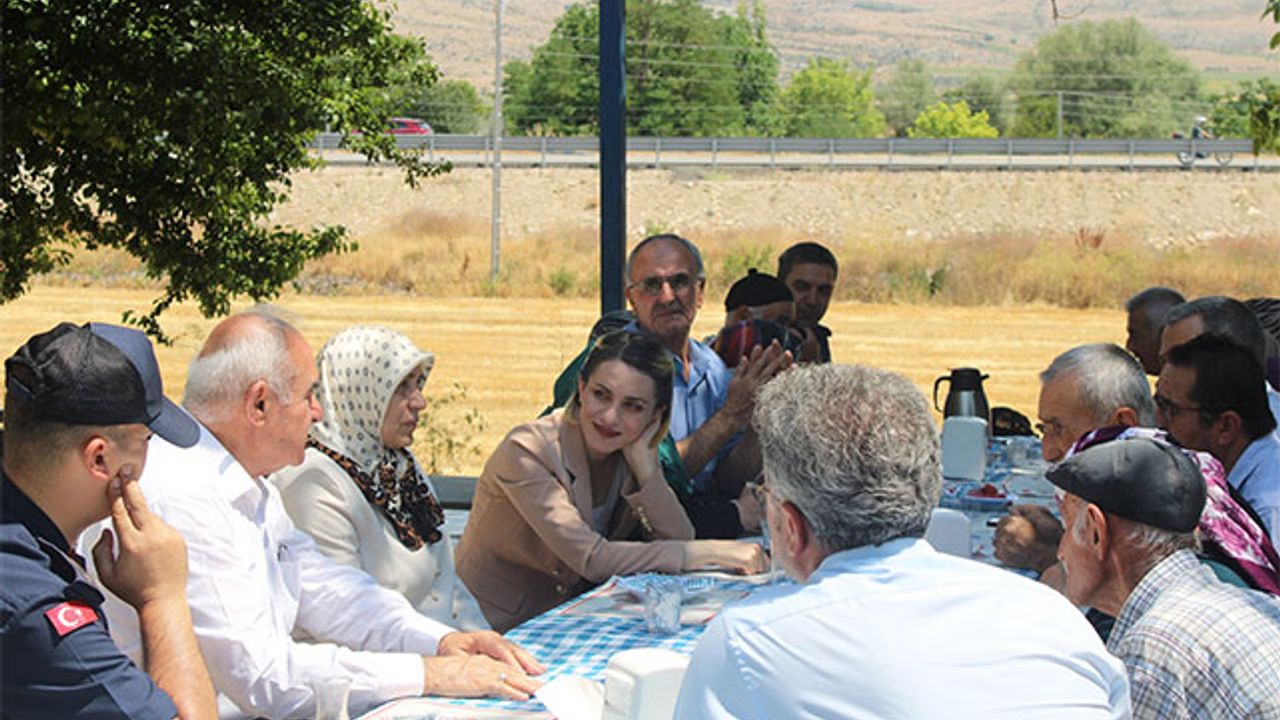 كايماكام نايمان، ٤٥ ييللق ايوليلرله بير ارايه كلدي