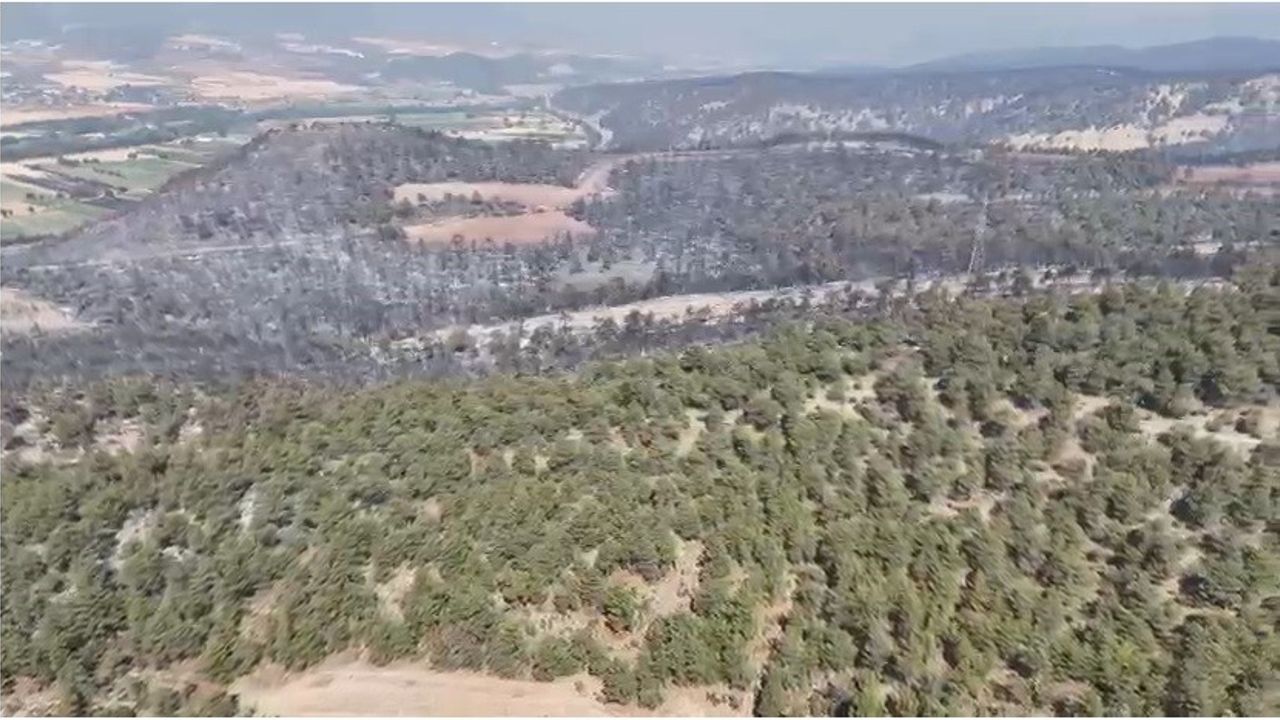 ساكاريا’ده باشلايان بيلجیك’تكي يانكين هاوادان كورونتولندي