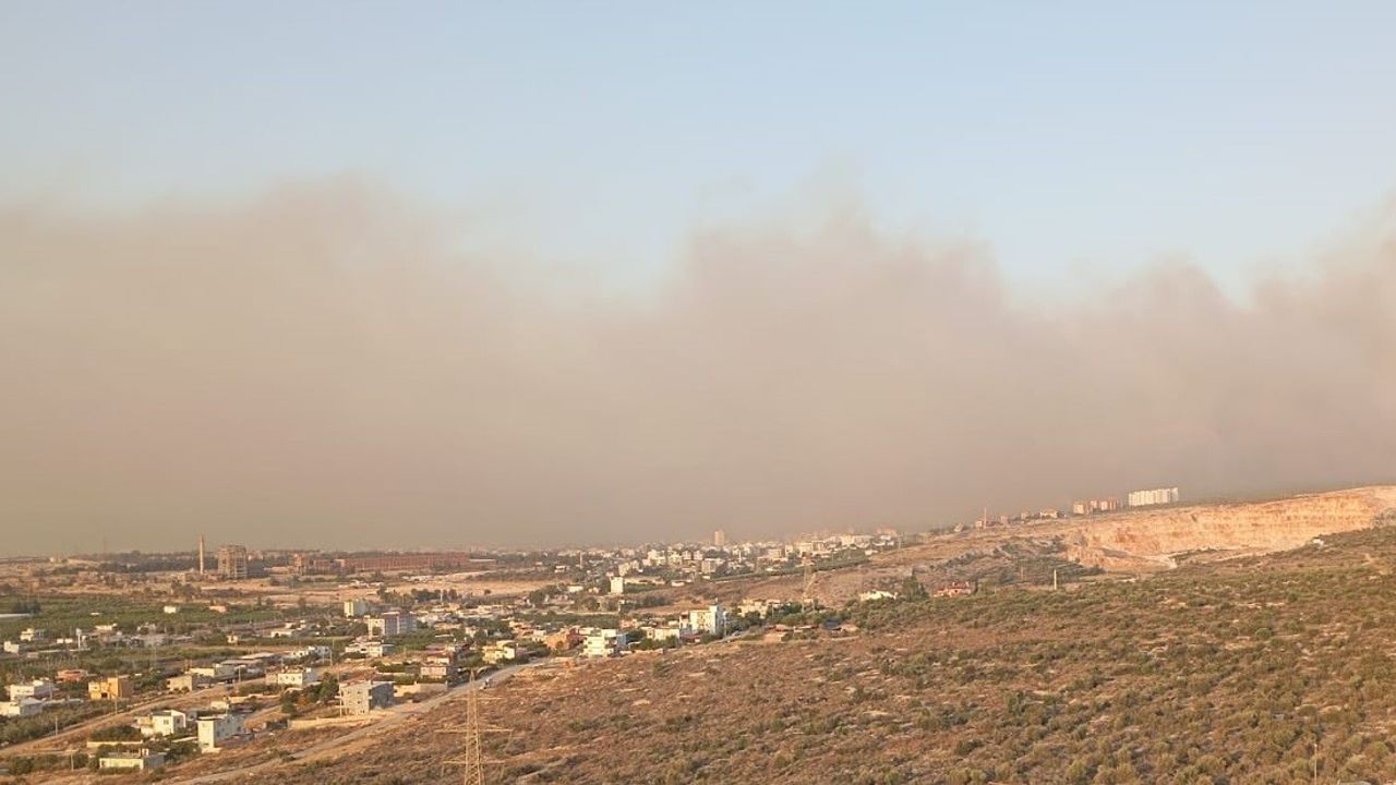 سيليفك’ده اورمان يانكيني چيكتي
