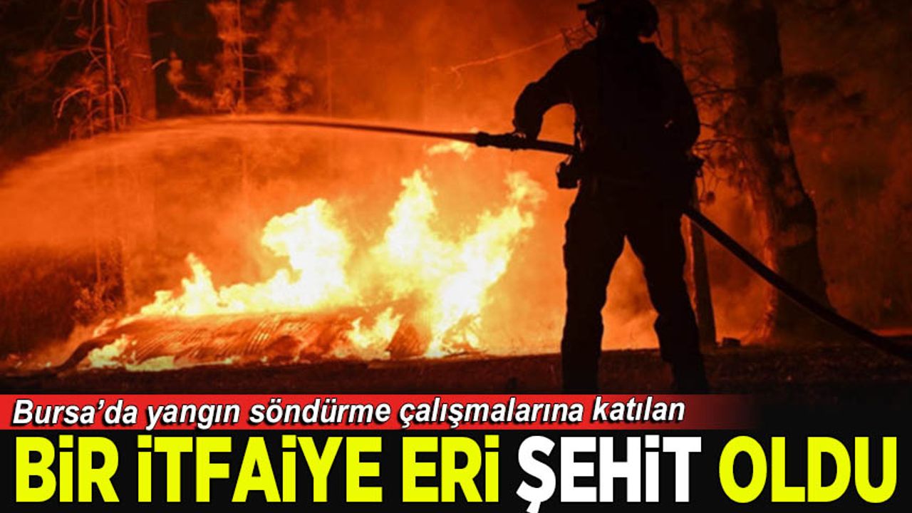 بورسا’ده اورمان يانكينينه موداهاله ايدن بير إیتفاييه ايري شهيت ‏اولدی