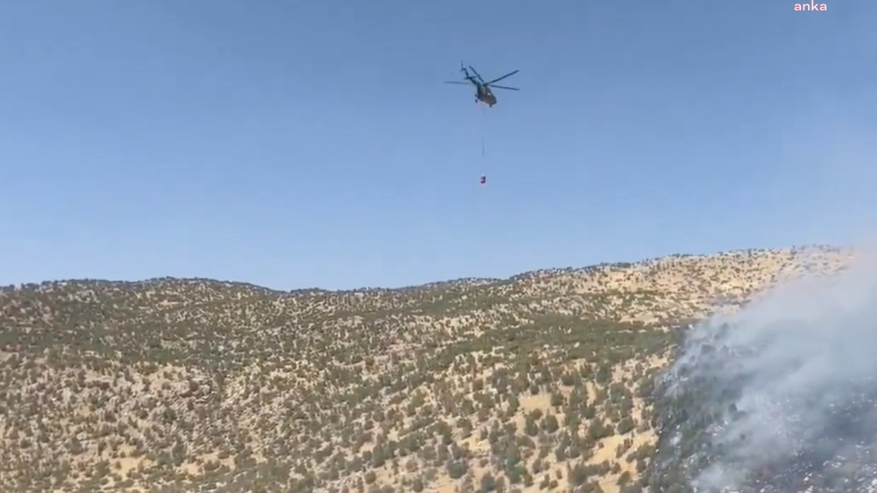 شيرناك’تاكي اورمان يانكيني كونترول آلتونه اليندي