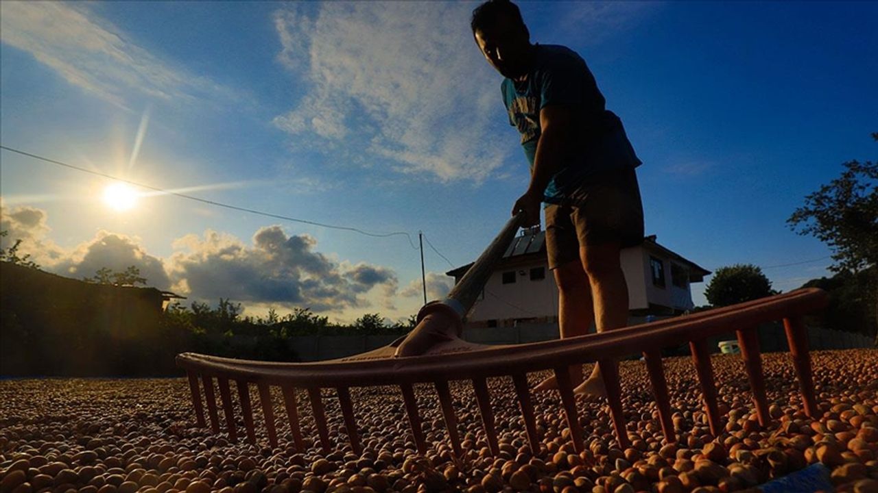 ايمك اوردو’دان فينديك فيياتي تپكيسي: اورتيجیلر بازاره فينديك إینديرماييپ تپكيسيني سوكاكته ده كوسترمليدر