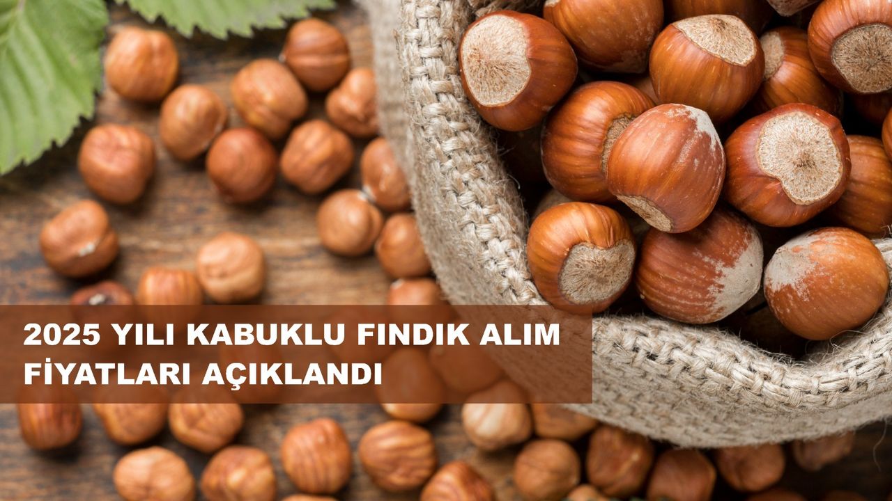 فينديك تابان فيياتي اچيكلاندي; فييات ١٩٥ ليرا…