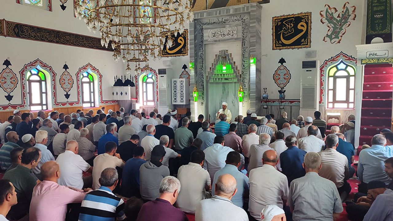 يانكيندان كورتولان كويده شوكور دواسي