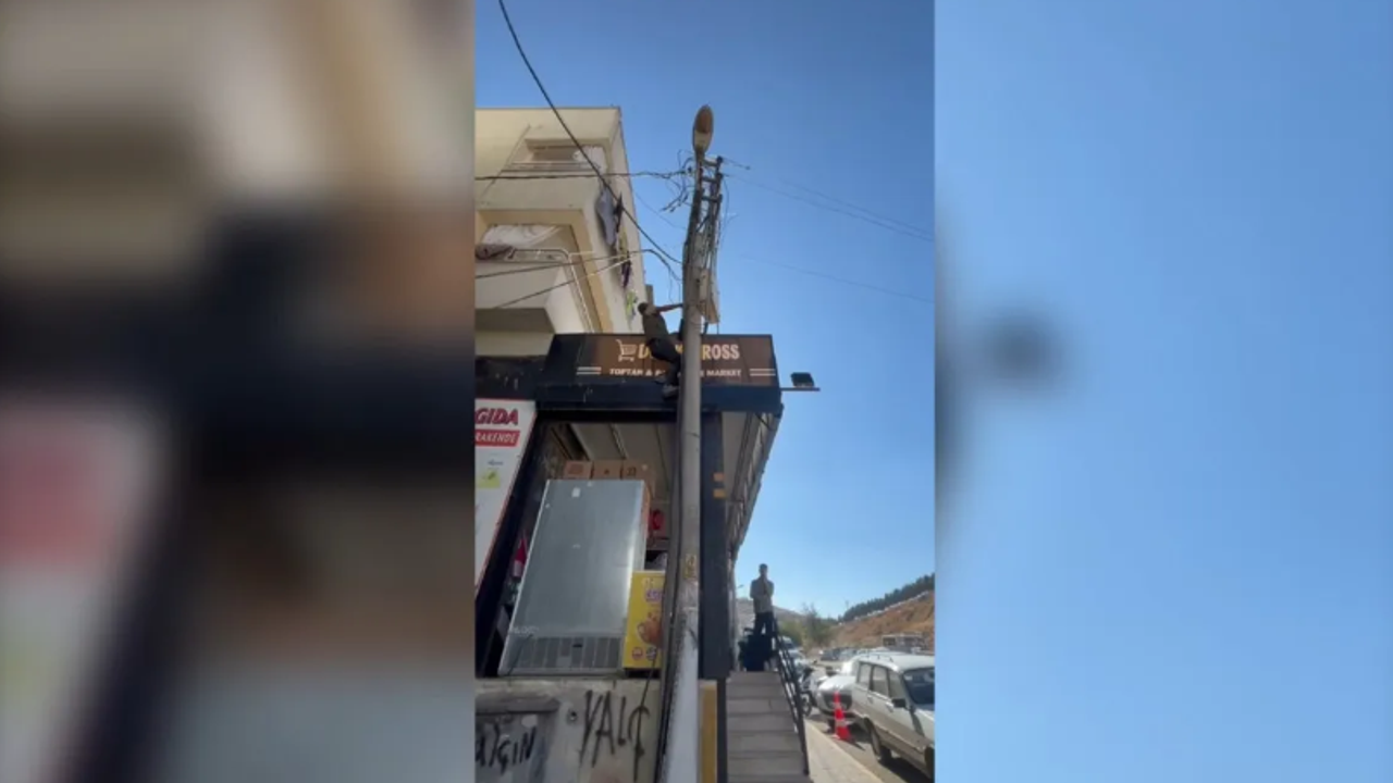 شانليورفا’ده تامير إیچين چيكتيگي ایلكتیریق ديرگينده اقيمه كاپيلاراك يره چاقيلدي