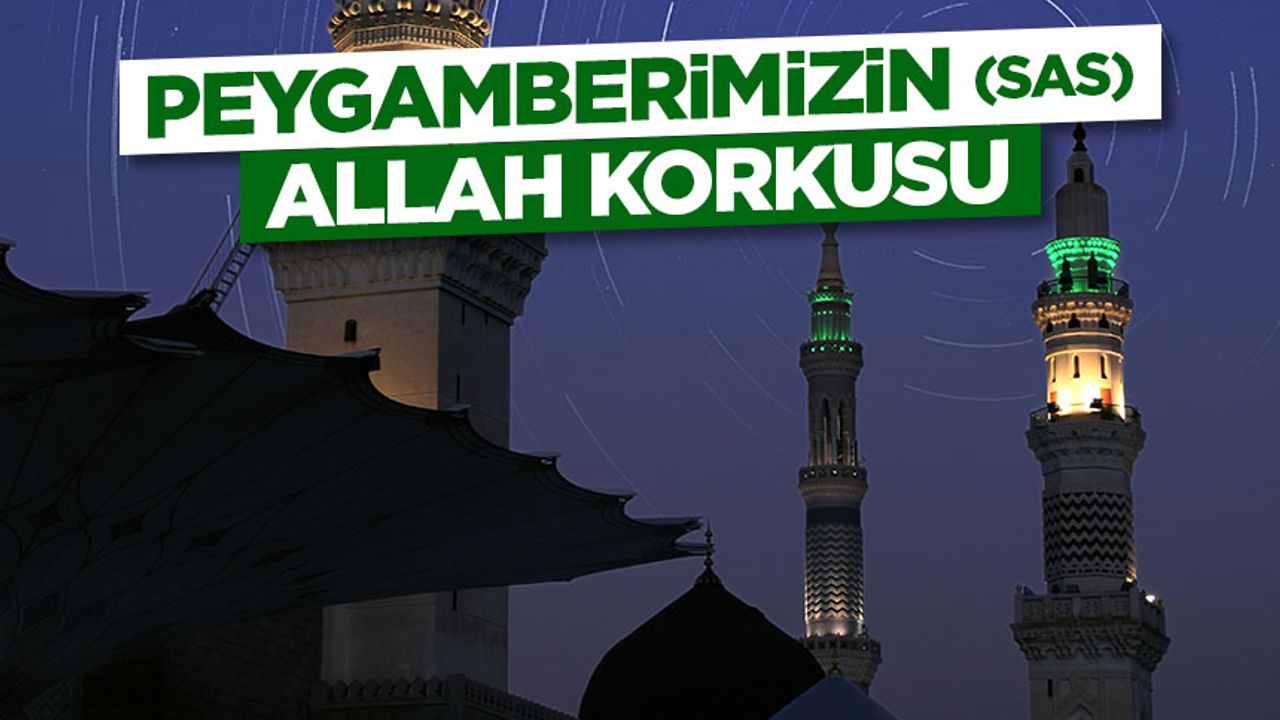 پايكامبريميزين (ساس) الل كوركوسی