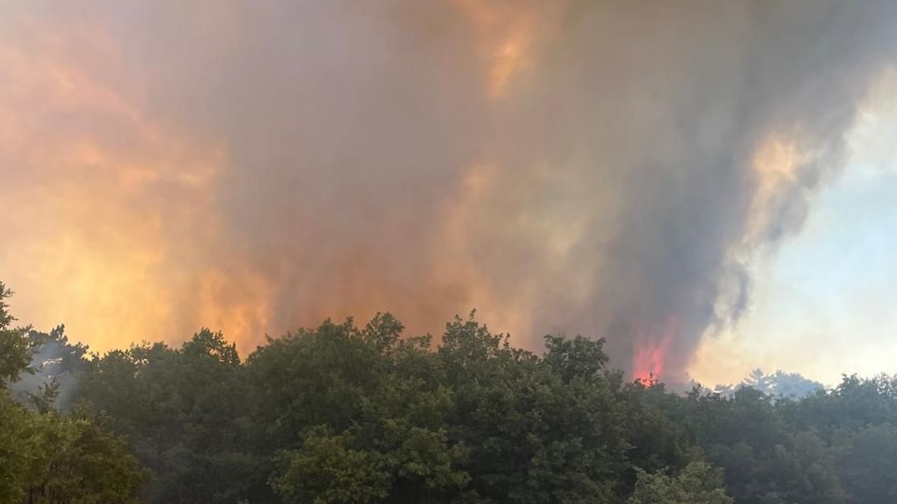 چانكيري’ده بير ايوده باشلايان يانكين ٥ ايوه داهه سيچرادي