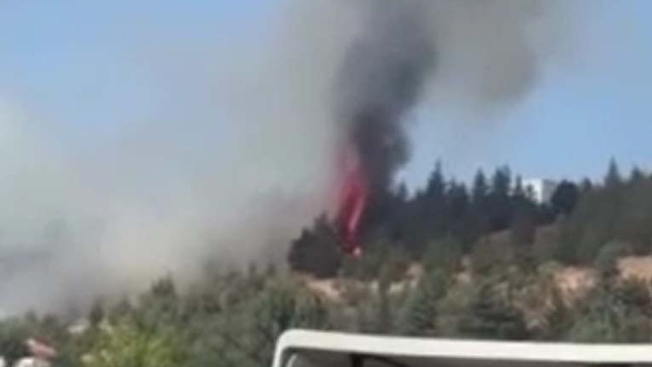 انكاره بالا’ده اورمان يانكيني چيكتي