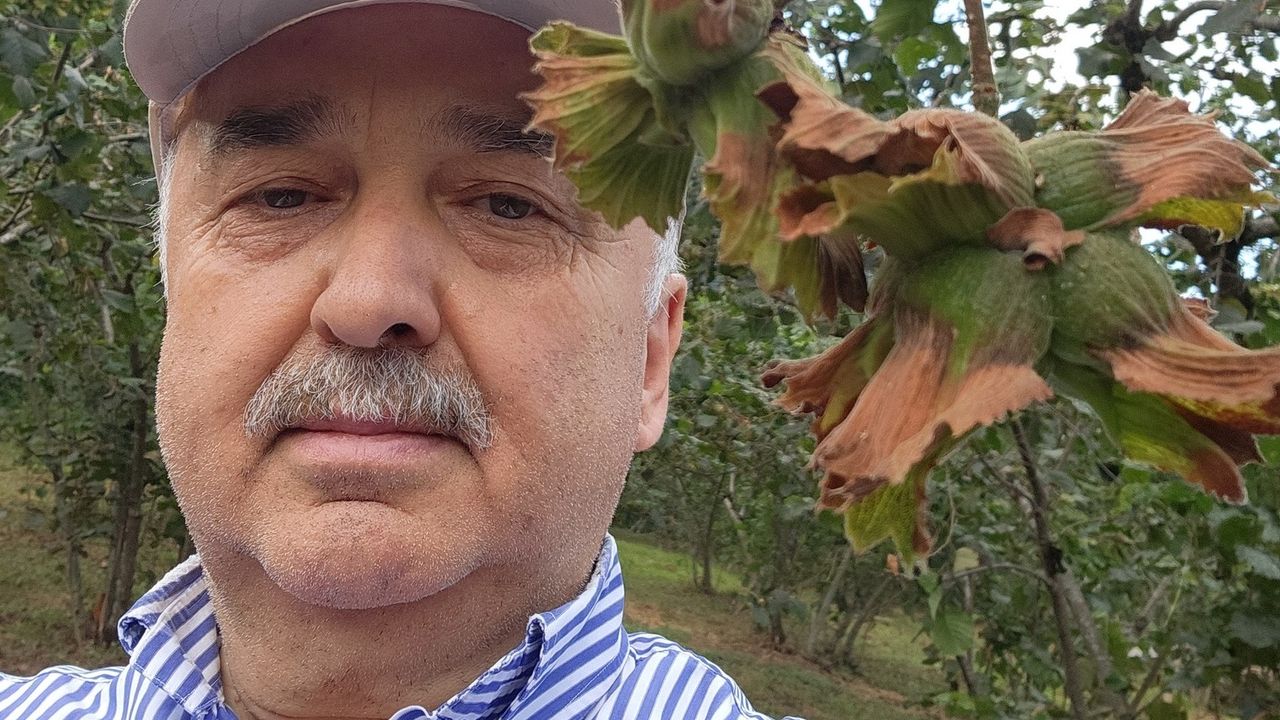 كيرسون ميلتوكيلي علی تمور: فينديك ايمانت ورمايين