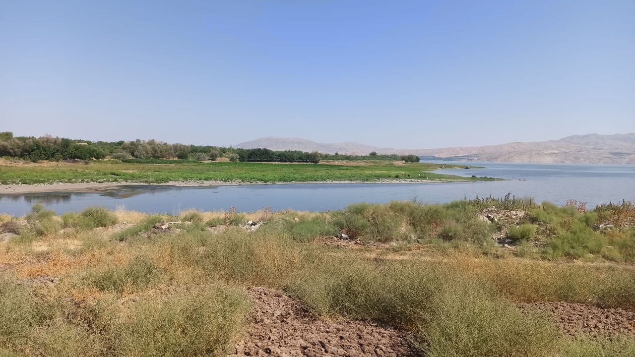 مالاتيا’ده تاريمسال سولاماده كوراكلق اينديشسي