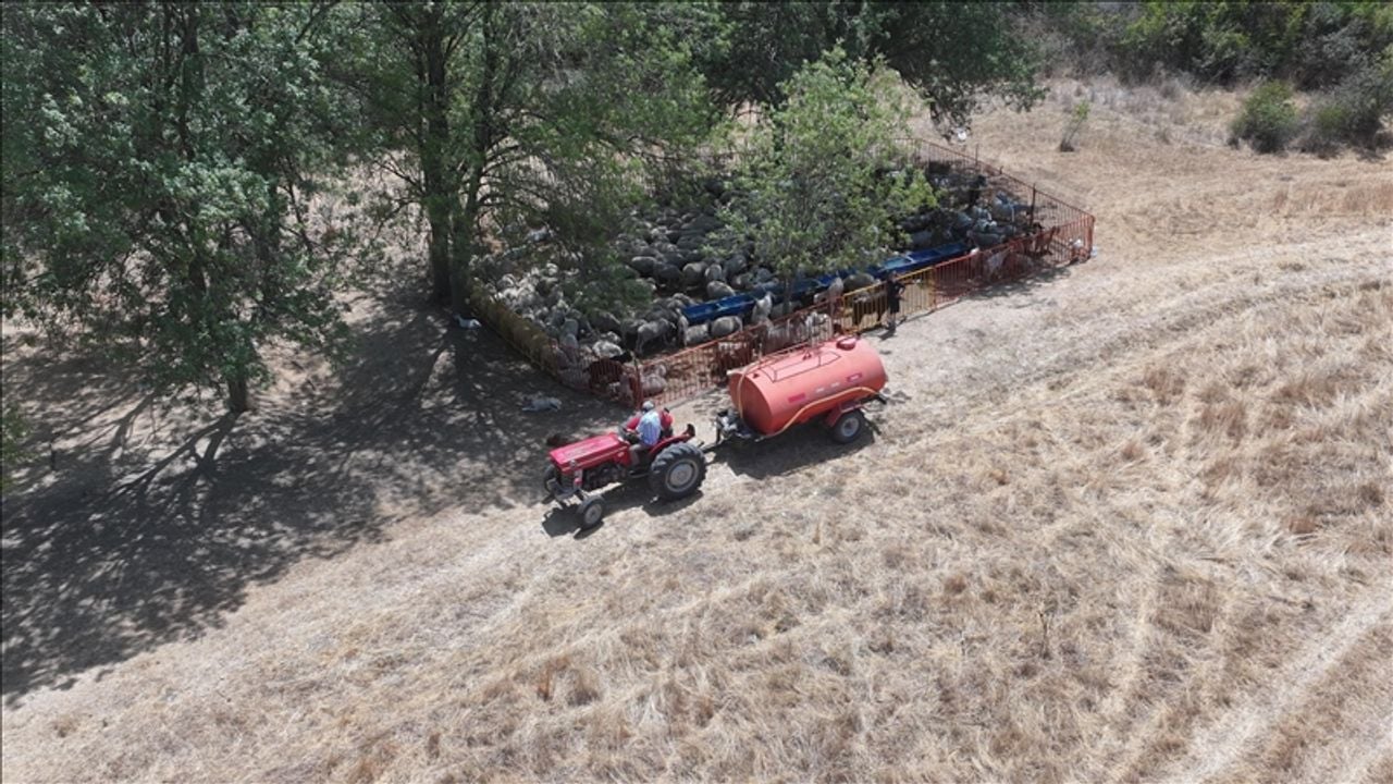 ايديرن’ده بسيجیلر، سی كايناكلارينين كورومه نوكتاسينه كلديگي مرالارداكي هايوانلارينه تانكرلرله سی تاشييور
