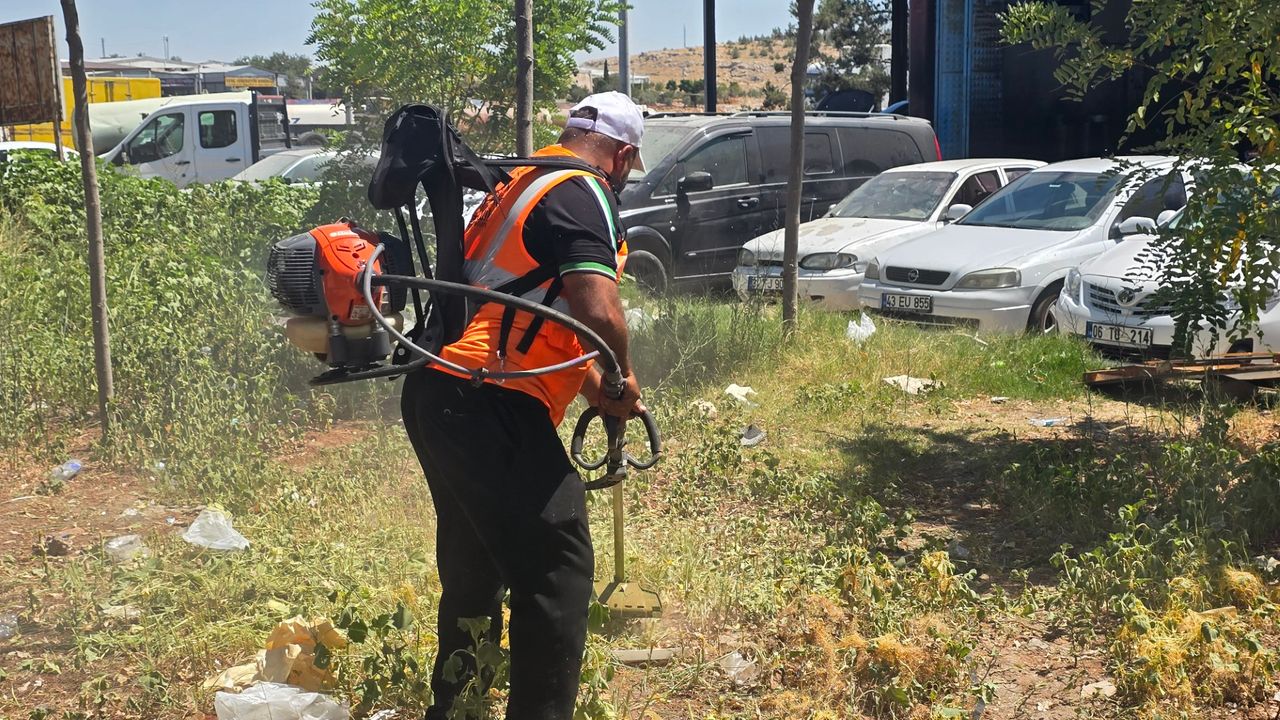 ايورن سانايي سيتسي’نده پارك چاليشمالاري باشلادي