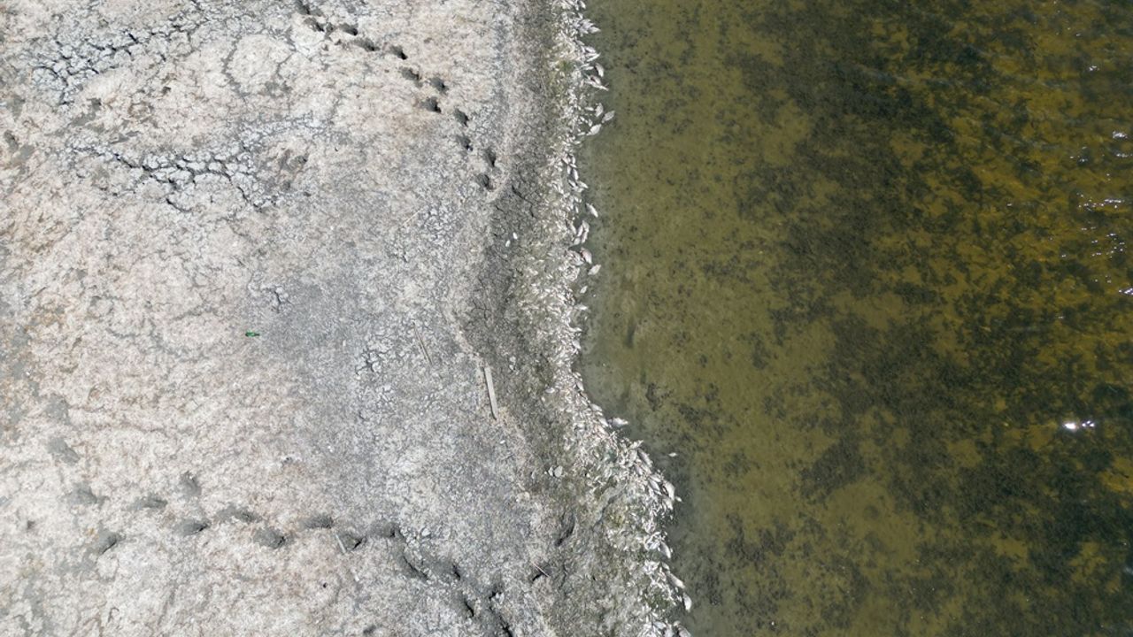 تكيرداگ’ده سی سوييسي دوشن كولته اوكسيژنسيز كالان باليكلار ولدی