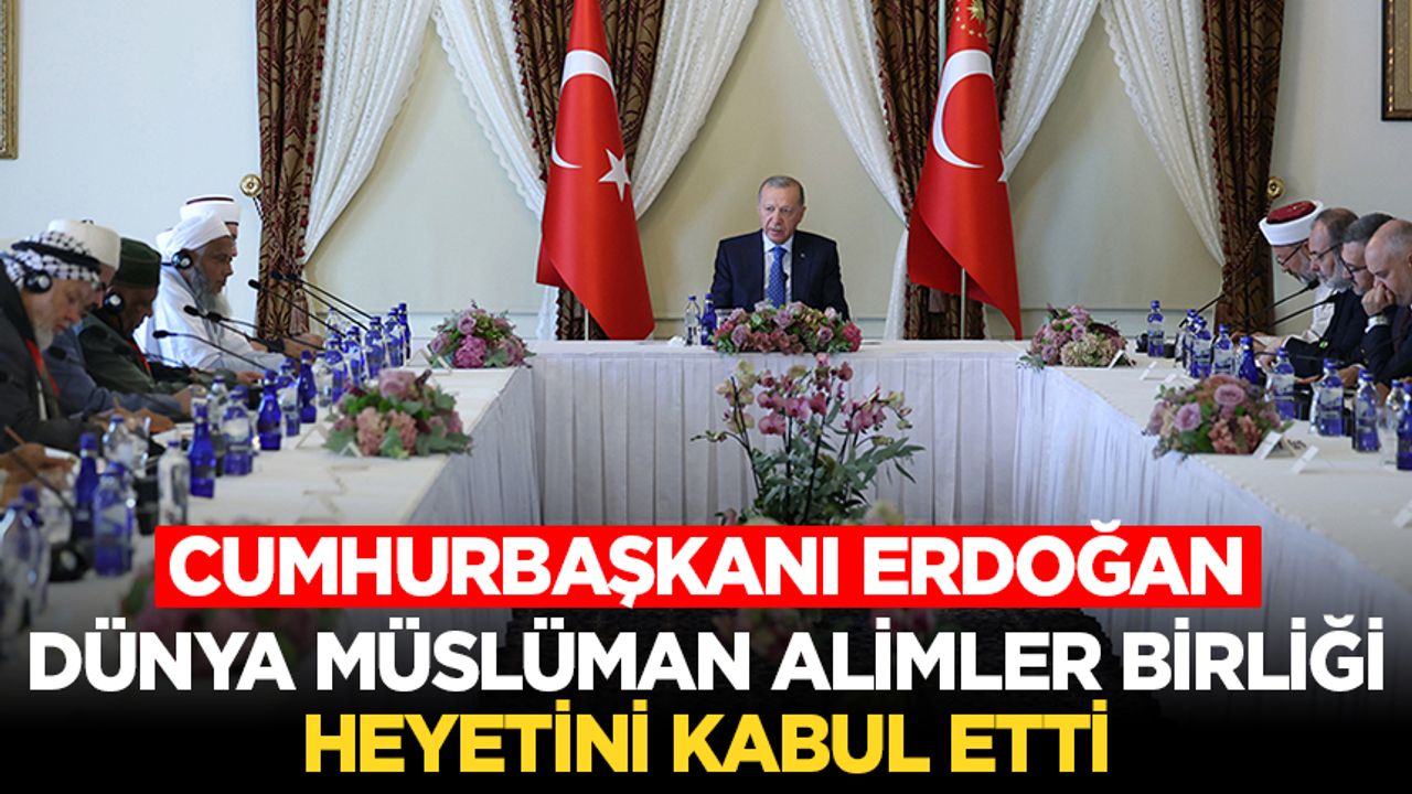 جمهورباشقاني أردوغان، دونيه موسلومان علیملر بيرليگي هايتيني كابول ايتي