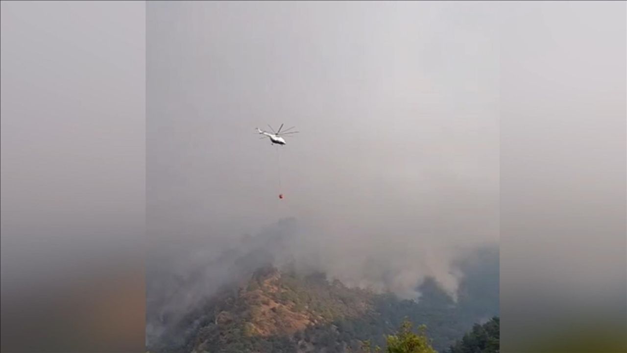 دڭزلي’ده چيكان اورمان يانكينينه موداهاله سورويور