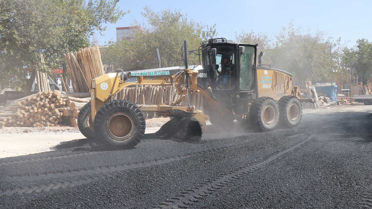 هاليليي’ده ايسنافين تالپلري كارشيليكسيز كالمييور