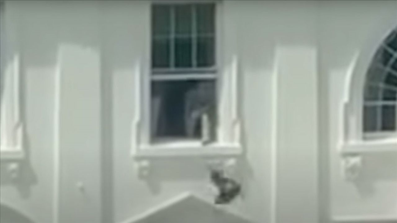 ترومپ، بیاض ساراي’داكي “پنردن ايشيه اتما” ويدوسونون ياپاي زكه اولدیگونی ساووندی