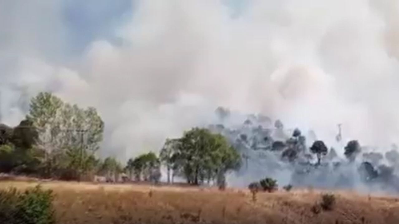 سيواس’ين زاره إیلچسينده اگاچلق الانده يانكين چيكتي