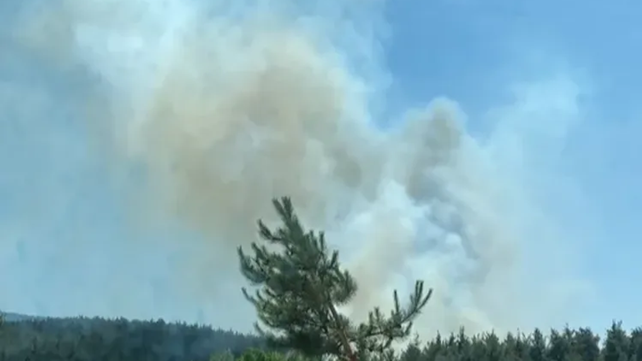 بورسه اورهانلي’ده اورمان يانكينينه موداهاله سورويور