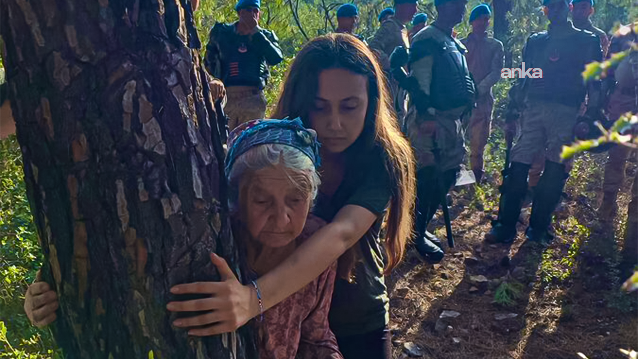 اقبلن ديرنيشينده اگاجه ساريلديگي فوتوگرافله تانينان زهره ييلديريم ياشاميني ييتيردي