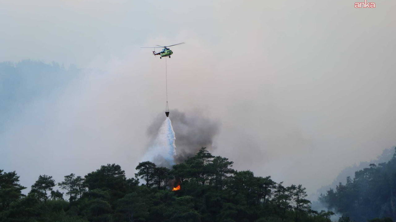 موگلا’داكي اورمان يانكيني ٦٣ ساعت سونره كونترول آلتونه اليندي: ٣ بين هكتاردان فازله الان كول ‏اولدی
