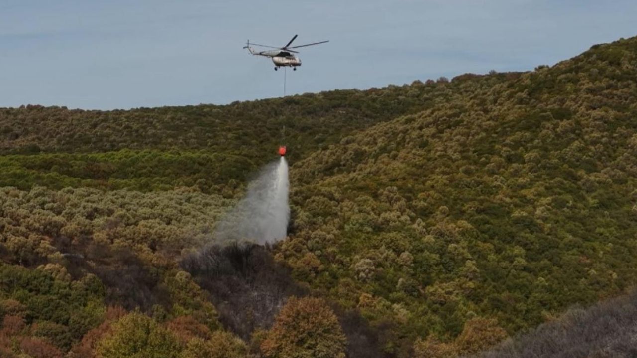 بورسا’ده اورمان يانكيني كونترول آلتونه اليندي