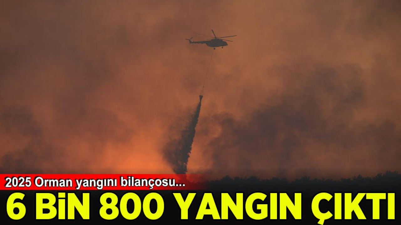 بی ييل ٦ بين ٨٠٠ اورمان يانكيني چيكتي: ٨٠ بين هكتار الان زارار كوردی