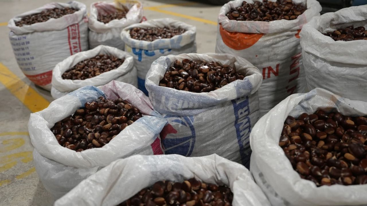 جوگرافي إیشارتلي “دوزجه كوزی كستان” بازارده ساتيشته