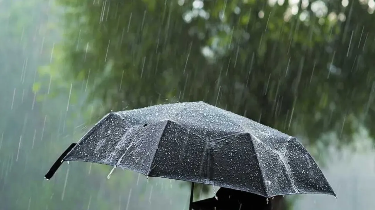 موگلا’ده يرل كوووتلي ساگاناك بكلنييور