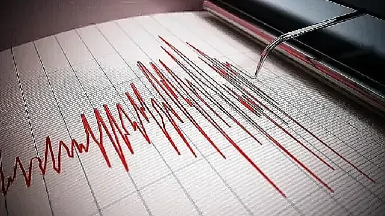 استانبولدە پش پشه دپرم: آدالاردە ٣،٢ بویوكلگنده صارصینتی görseli