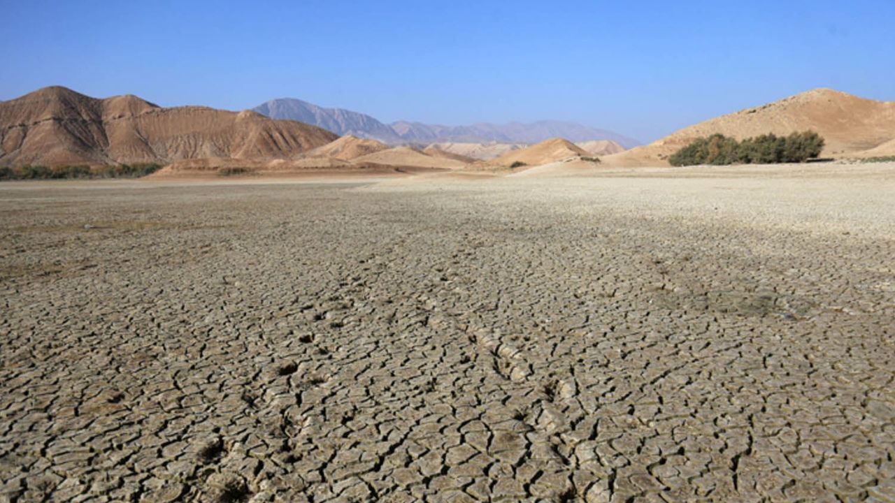 رقور صیجاقلق فرانسهدە ١٣٧٣ درەیی قوروتدی