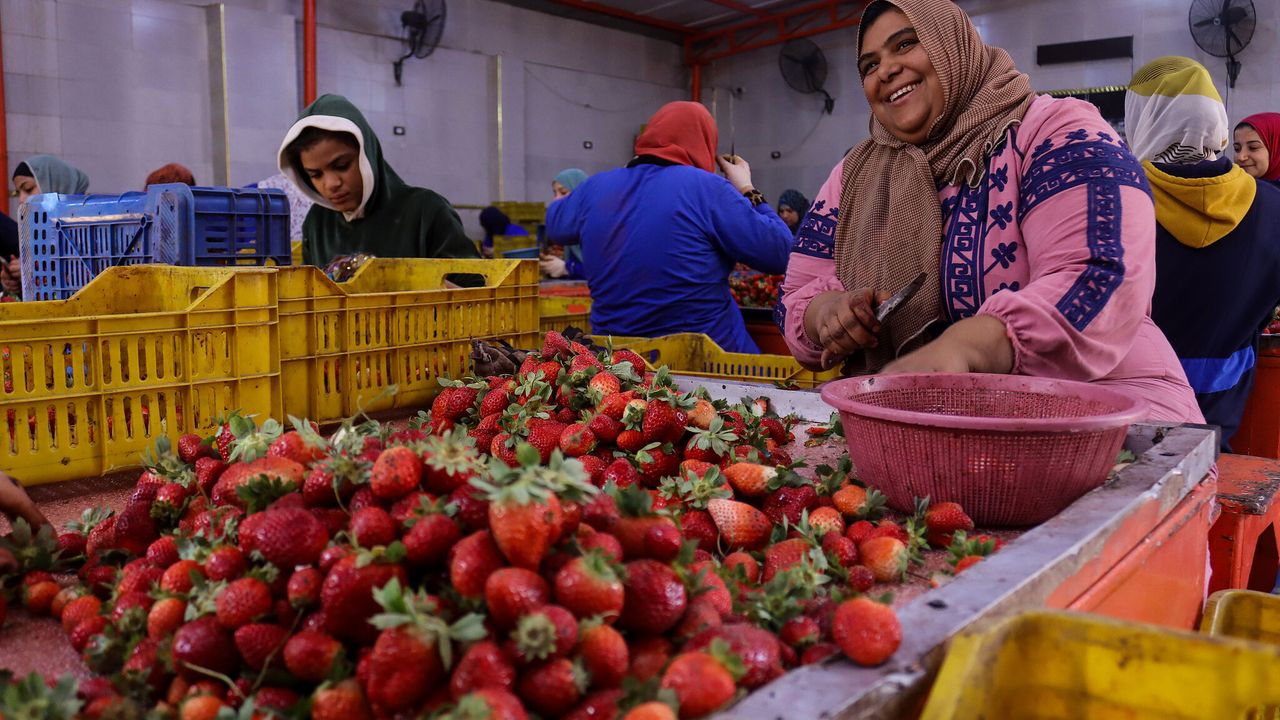 چین-مصر تجاردنده گوچلی آرتیش: ایلك ٧ آیدە یوزدە ١٨،٧ بویودی – Çin-Mısır ticaretinde güçlü artış: İlk 7 ayda yüzde 18,7 büyüdü